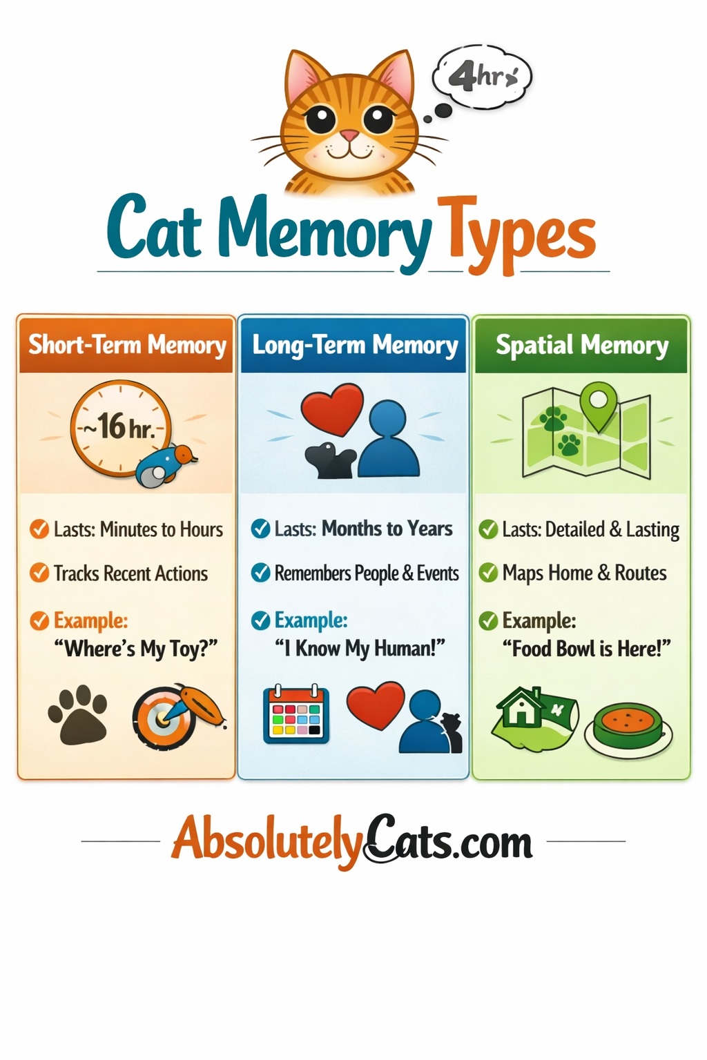 How Long Is a Cat Memory? Feline Memory Guide